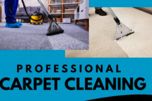 3 Reasons Why You should Hire a Professional Carpet Cleaner This Spring!