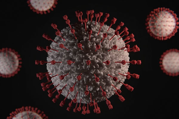 covid 19 virus